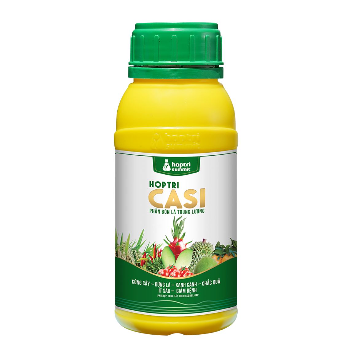 Hợp Trí Casi