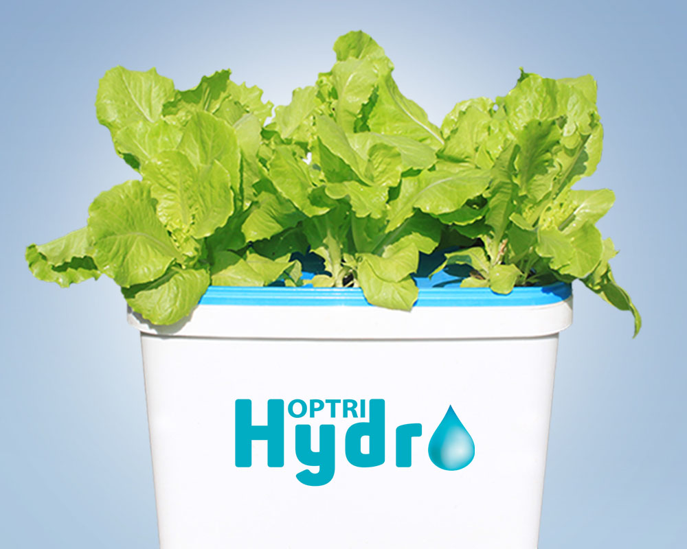 Thùng trồng rau thủy canh tĩnh Hoptri Growbox Leafy