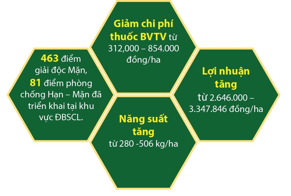 HieuQuaQuyTrinh