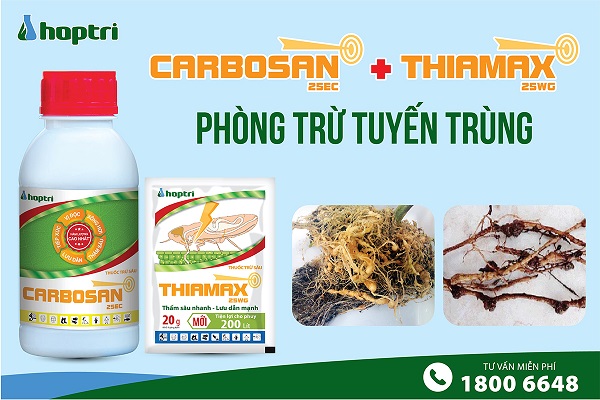 BannerThanhLong Carbosan Thiamax