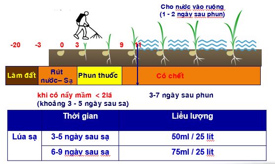 HuongDanSuDungHilton