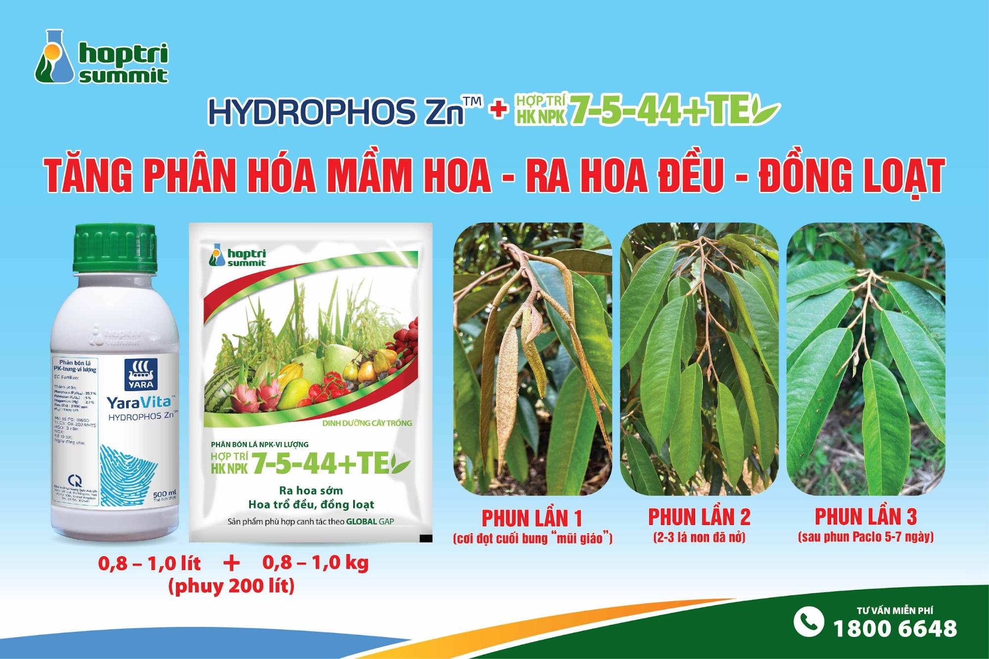 Hydrophos Zn và Hợp Trí HK NPK 7-5-44+TE