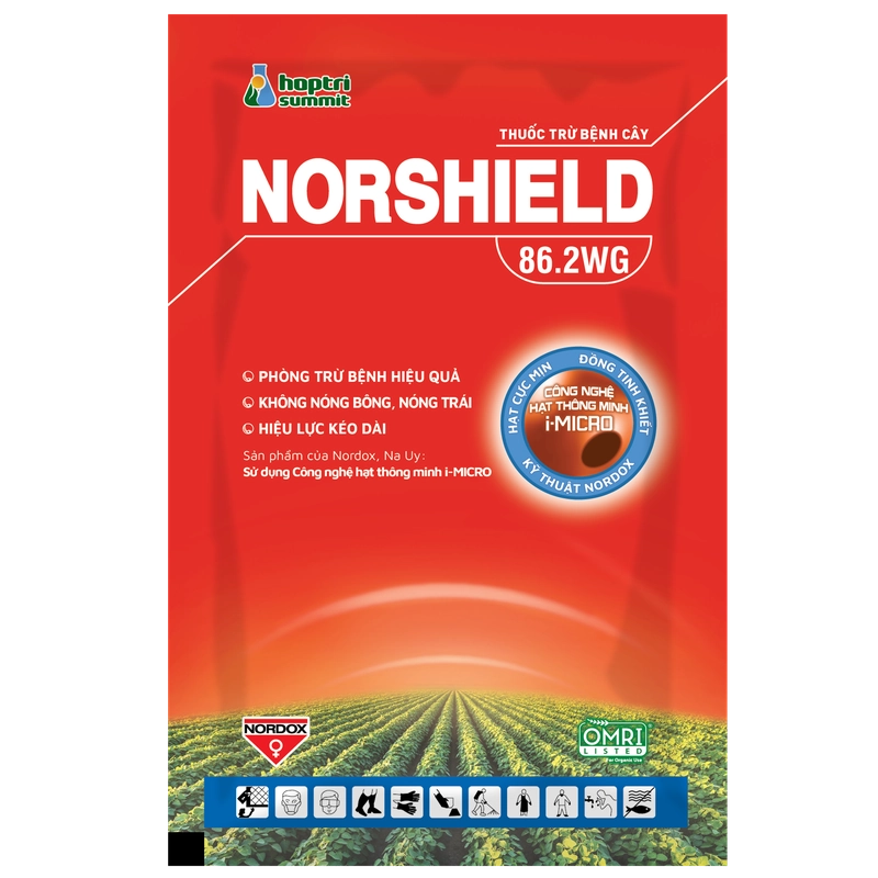 Norshield 86.2WG hỗ trợ trị nấm Phytophthora trên cây trồng