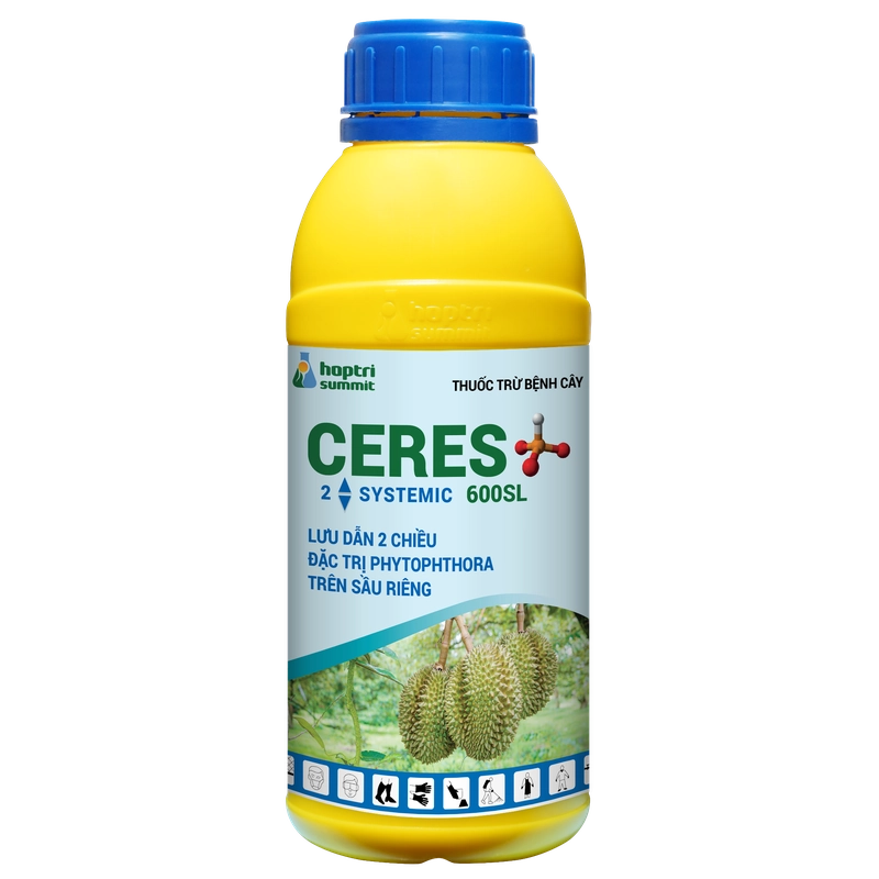 Phytocide 50WP hỗ trợ phòng trừ nấm bệnh Phytophthora trên cây