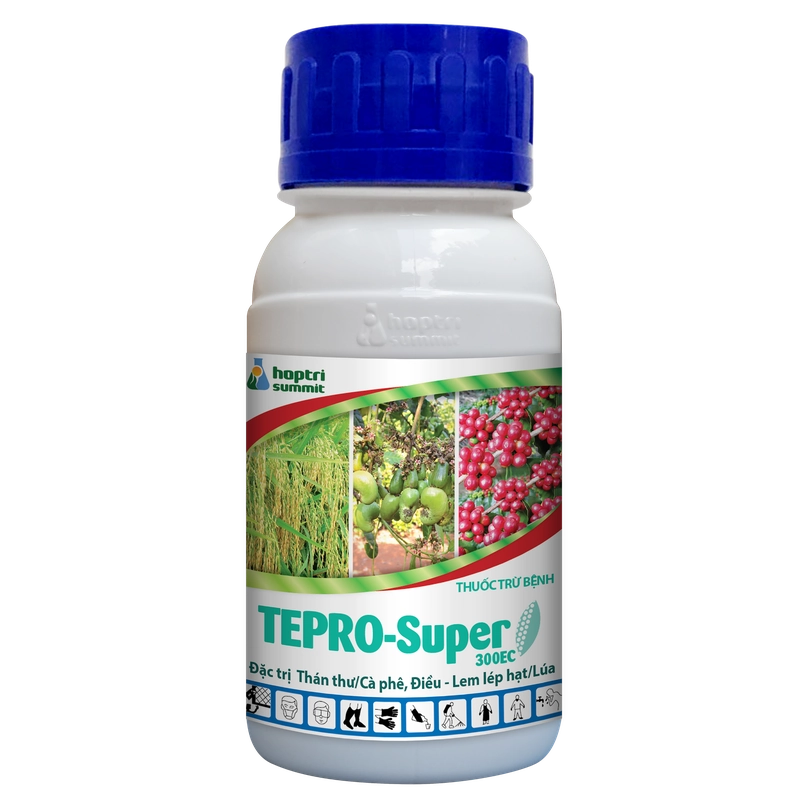 Tepro Super 300EC hỗ trợ trị bệnh thán thư trên cây điều và cà phê