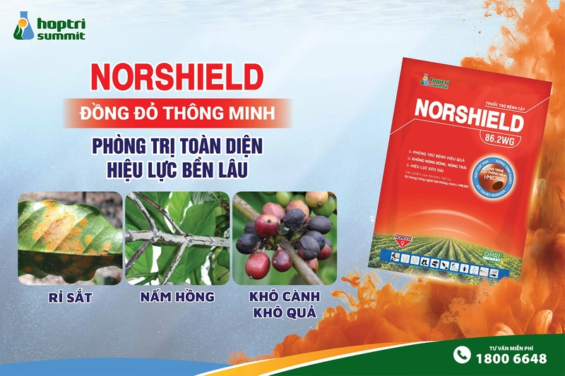 Norshield 86.2WG với công nghệ đồng đỏ, bám dính vượt trội, hạt thuốc siêu mịn giúp thuốc bao phủ và bám dính tốt, hạn chế bị mưa rửa trôi 