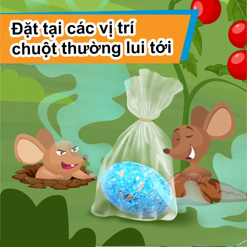 Đặt thuốc diệt chuột Storm 0.005% đúng kỹ thuật để tăng hiệu quả