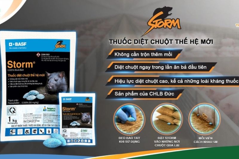 Các loại thuốc diệt chuột hiệu quả nhanh chóng và an toàn nhất