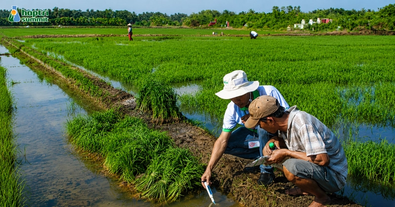 Đội ngũ kỹ sư của Hợp Trí Summit đồng hành cùng bà con thăm nom đồng ruộng (xã Thạnh Trị, huyện Vĩnh Bình, Tiền Giang) 