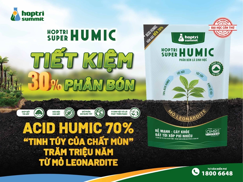 Hợp Trí Super Humic hỗ trợ cải tạo đất nông nghiệp bạc màu hiệu quả