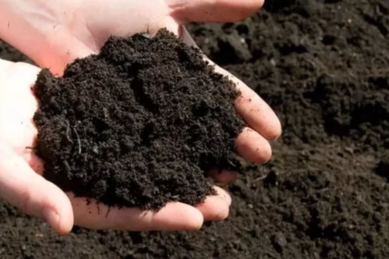 Các biện pháp cải tạo đất, chống thoái hóa