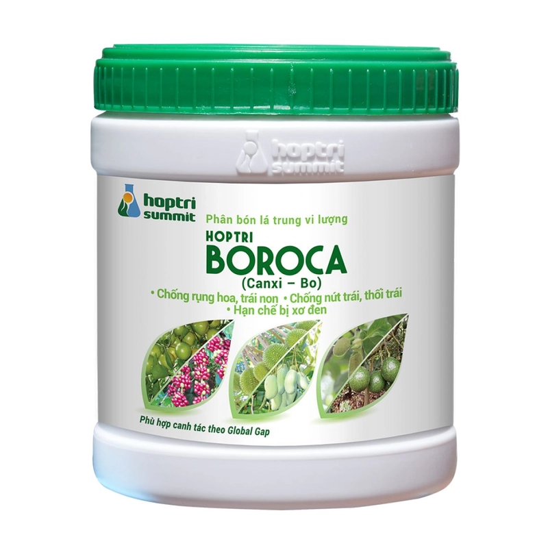 Hợp Trí Boroca