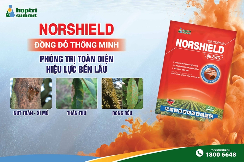 Tính năng và tác dụng của thuốc đặc trị bệnh hại rỉ sắt, thán thư Norshield 86.2WG 