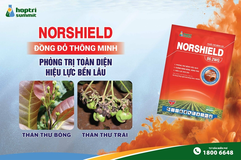 Norshield 86.2WG được mệnh danh là 