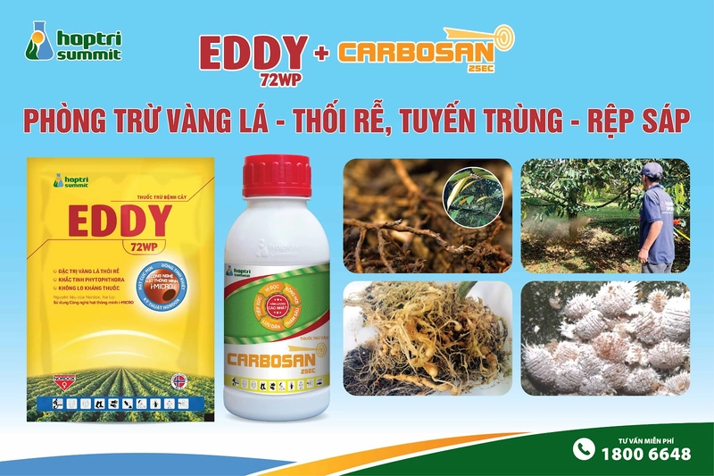 Hướng dẫn sử dụng bộ sản phẩm Hợp Trí đặc trị vàng lá thối rễ có kèm video hướng dẫn cụ thể 