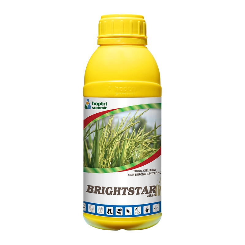 Brightstar 25SC hỗ trợ xử lý ra hoa sầu riêng an toàn