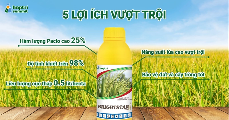 Lợi ích vượt trội của sản phẩm Brightstar 25SC 