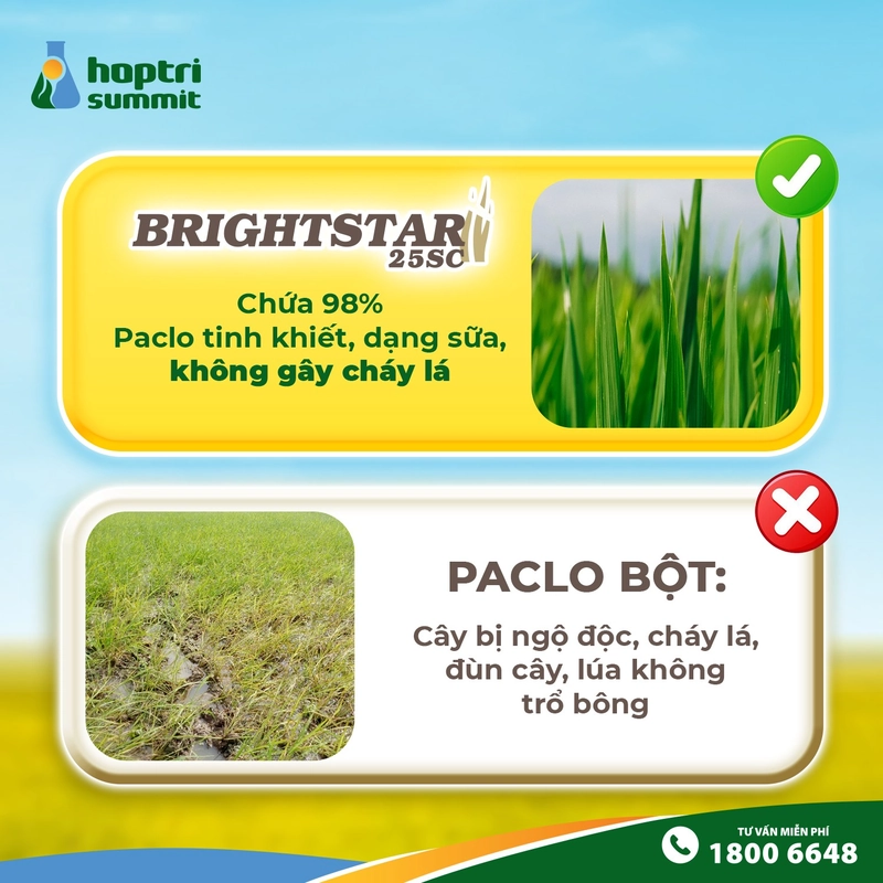 Thuốc điều hoà sinh trưởng cho lúa Brightstar 25SC