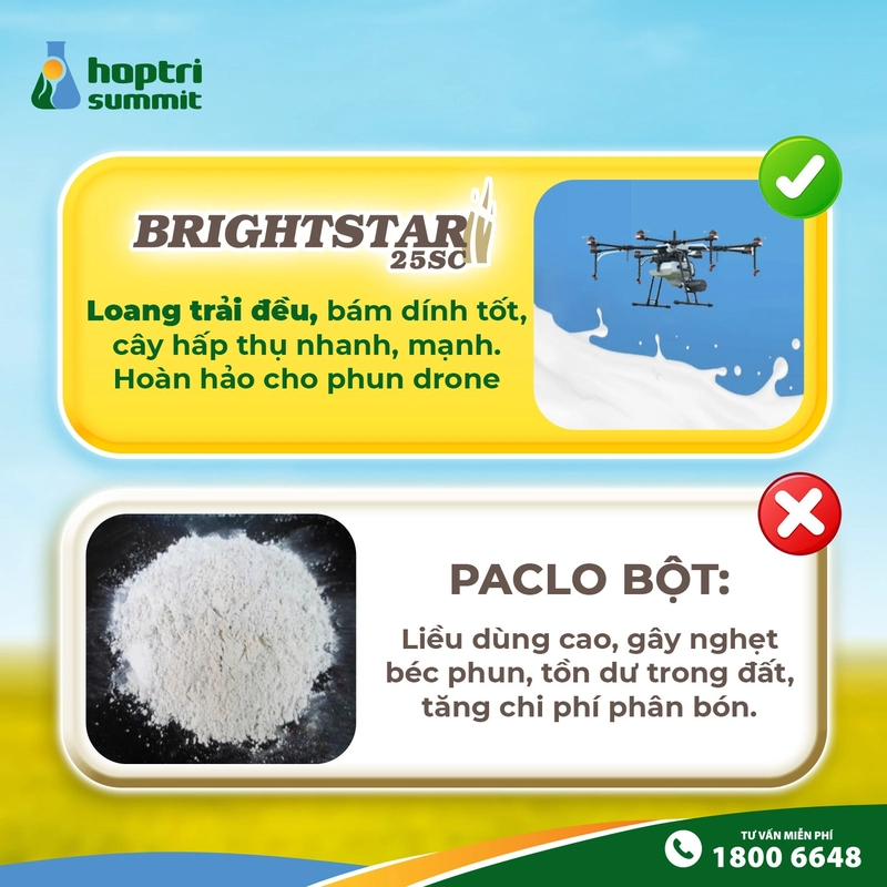 Thuốc điều hoà sinh trưởng cho lúa Brightstar 25SC hiệu quả vượt trội