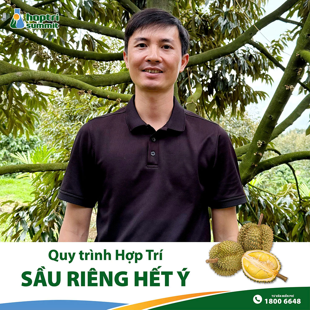 Anh Hoang