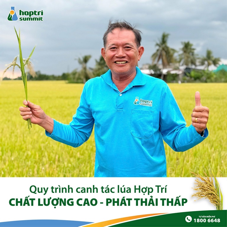 Anh Tư hài lòng với ruộng lúa sắp thu hoạch