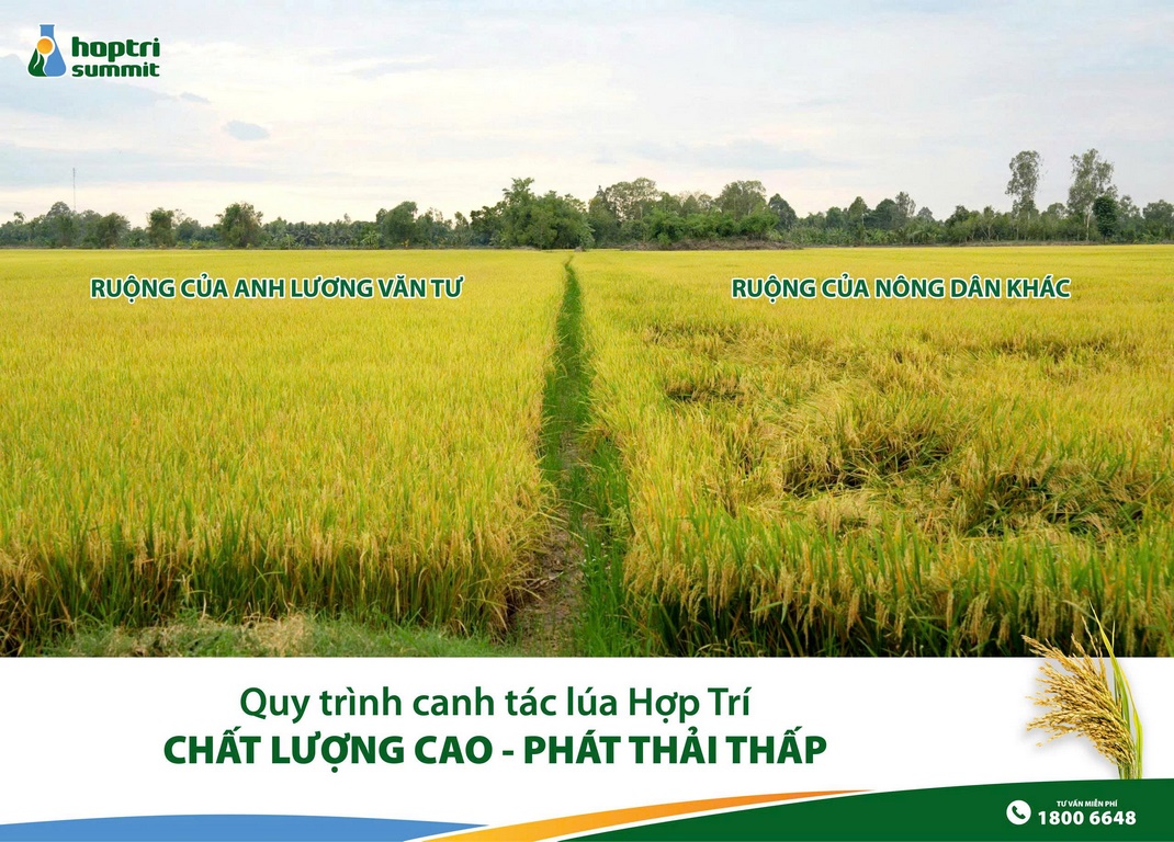 So sánh đối chứng ruộng của anh Tư và ruộng kế bên
