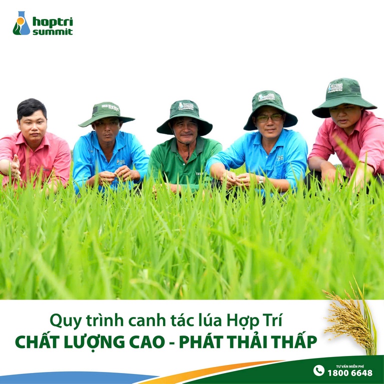 ThamDong