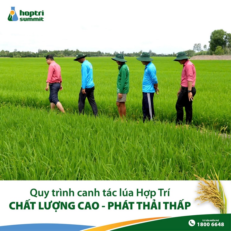 ThamDong02