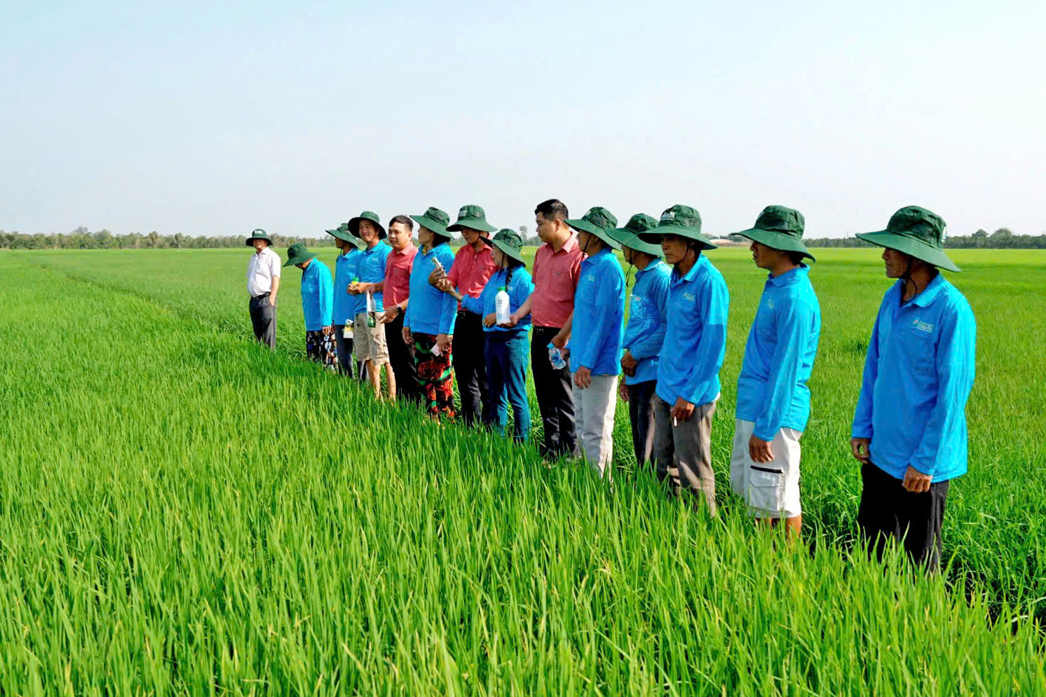 Ky su Hop Tri chia se ket qua khac phuc ngo doc phen va huu co dat thanh cong lon tai Dong Thap
