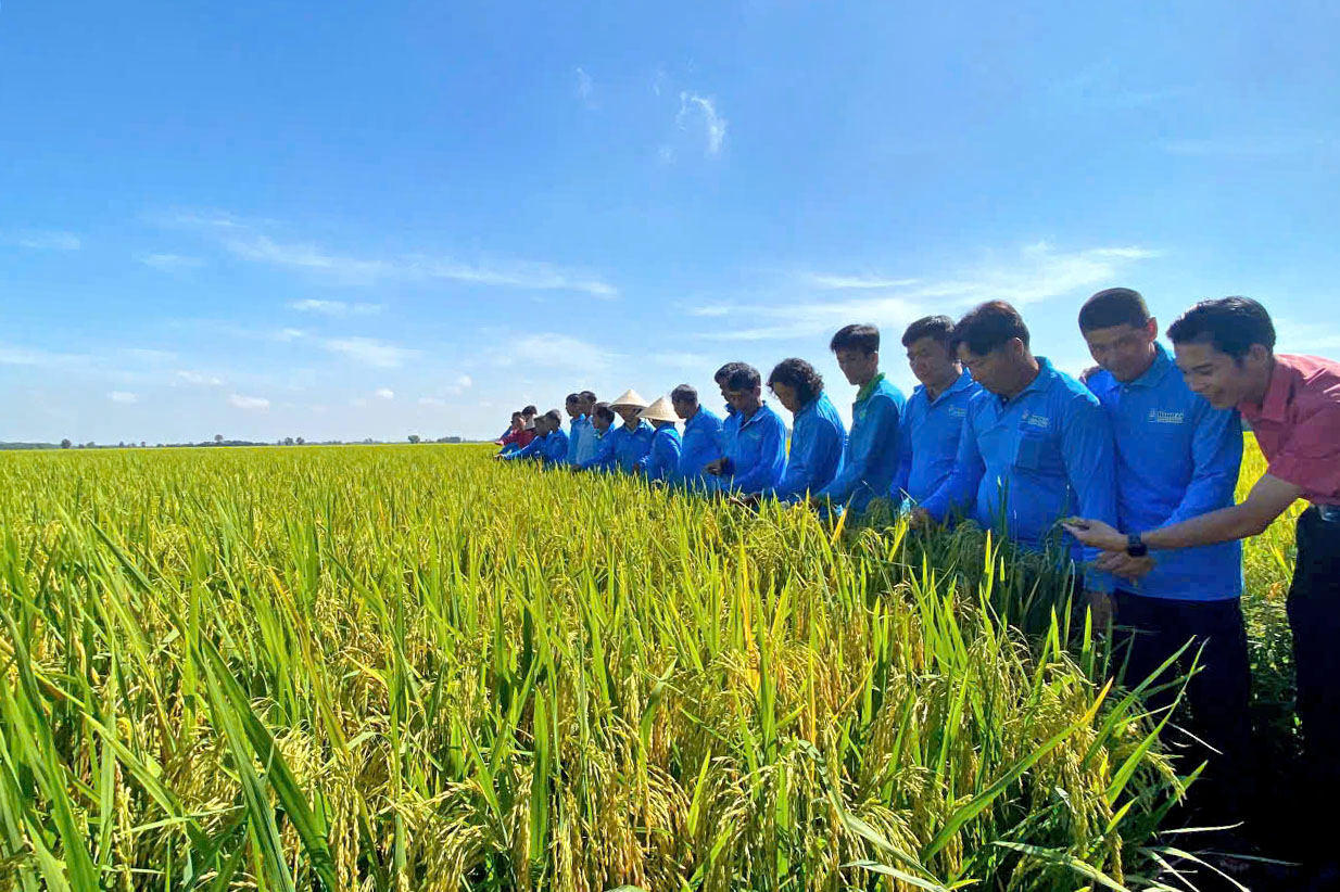 Ky su Hop Tri chia se niem vui vu mua thang loi tai Tay Ninh Kien Tuong Long An cu