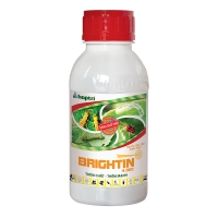 Brightin 4.0EC