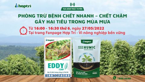 Tọa đàm trực tuyến: PHÒNG TRỪ BỆNH CHẾT NHANH - CHẾT CHẬM GÂY HẠI TIÊU TRONG MÙA MƯA