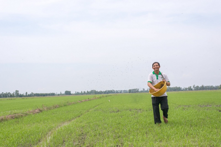 Vietnam Jan-Nov coffee exports up 23 pct, rice 4.8 pct