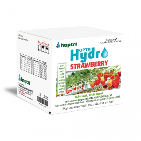 Hợp Trí Hydro Strawberry || 18935209504259